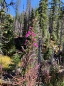 BoundaryWatersAHG - 8 of 19