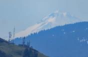 IMG_6453