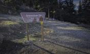 PXL_20240401_162858467